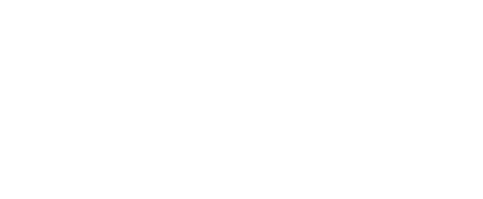 Best Business Internet
